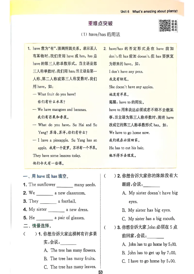 拔尖特训四（上）_25秋《拔尖特训》沪教版四上