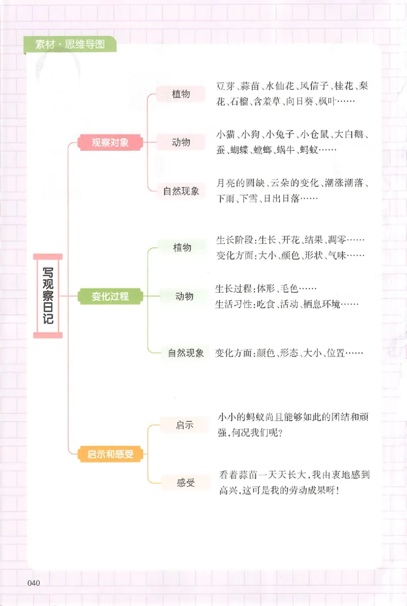 四年级语文上册25秋《一本小学生同步作文》_一本同步作文_四年级语文上册25秋《一本小学生同步作文》