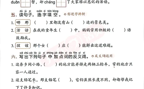 小学语文《开心活页默写》2年级上册（25秋）