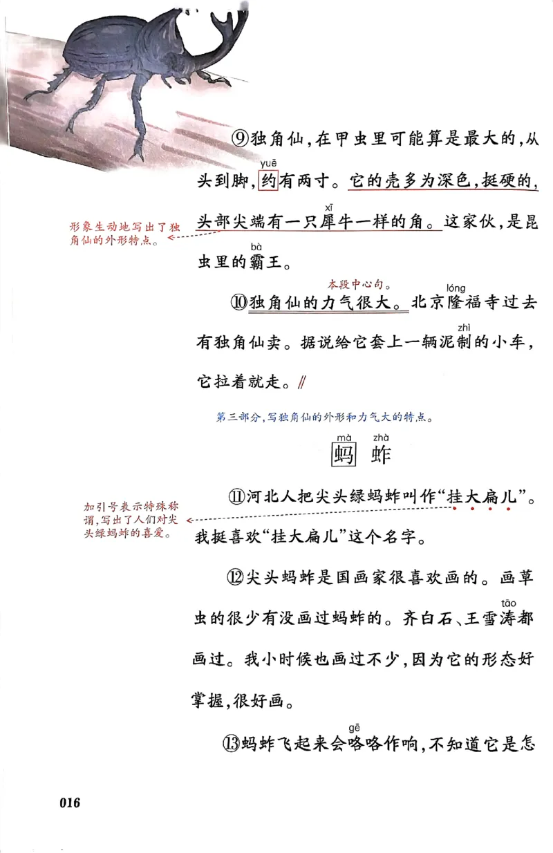 25春一本预习笔记3下语文_三年级上下册资料_53黄冈多个品牌系列资料_语文