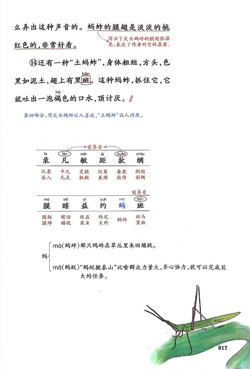 25春一本预习笔记3下语文_三年级上下册资料_53黄冈多个品牌系列资料_语文