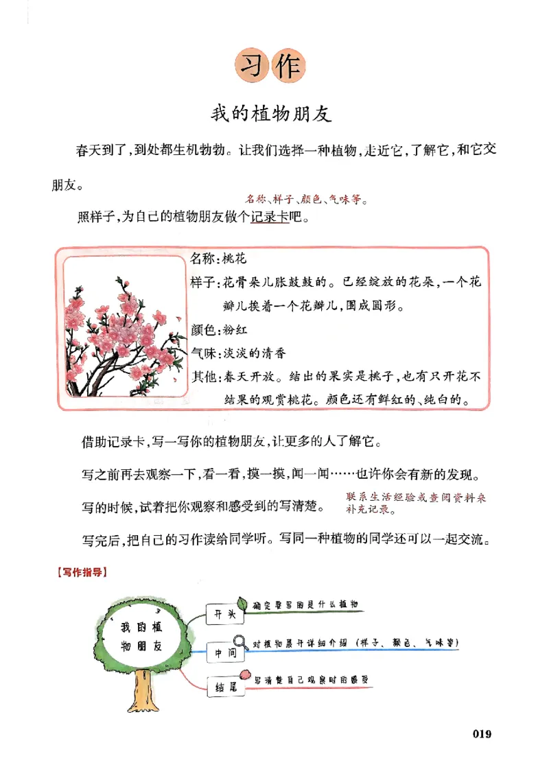 25春一本预习笔记3下语文_三年级上下册资料_53黄冈多个品牌系列资料_语文