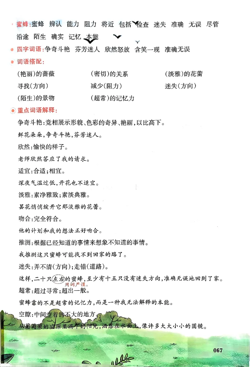 25春一本预习笔记3下语文_三年级上下册资料_53黄冈多个品牌系列资料_语文