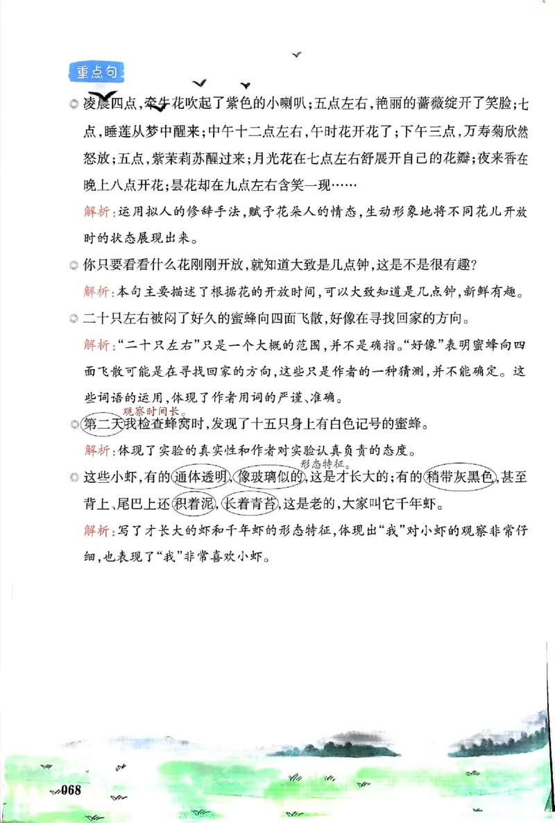 25春一本预习笔记3下语文_三年级上下册资料_53黄冈多个品牌系列资料_语文