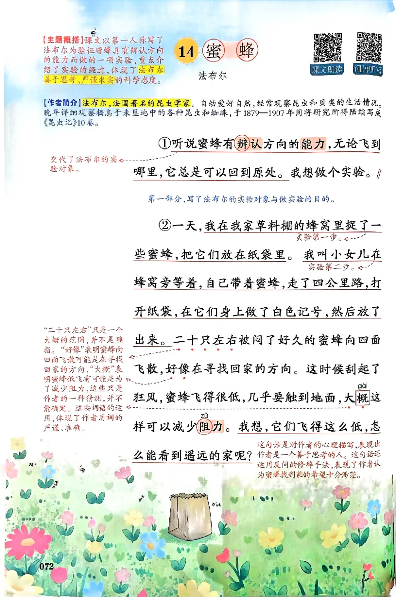 25春一本预习笔记3下语文_三年级上下册资料_53黄冈多个品牌系列资料_语文
