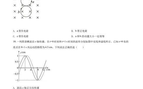 2021年高考物理试卷（湖北自主命题）（空白卷）_物理历年高考真题_新&middot;Word版2008-2025&middot;高考物理真题_物理（按省份分类）2008-2025_2008-2025&middot;（湖北）物理高考真题