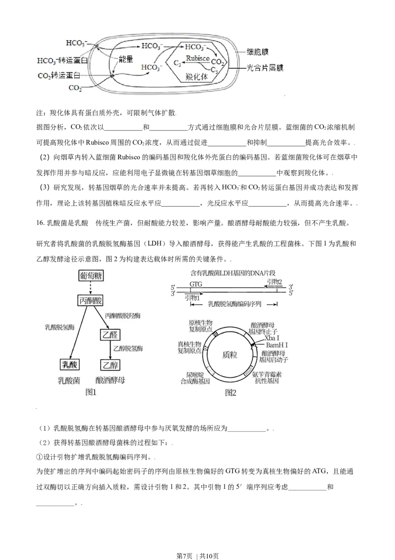 2021年高考生物试卷（天津）（空白卷）_生物历年高考真题_新&middot;Word版2008-2025&middot;高考生物真题_生物（按年份分类）2008-2025_2021&middot;高考生物真题