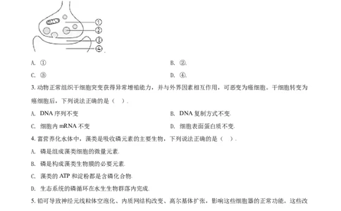 2021年高考生物试卷（天津）（空白卷）_生物历年高考真题_新&middot;Word版2008-2025&middot;高考生物真题_生物（按年份分类）2008-2025_2021&middot;高考生物真题