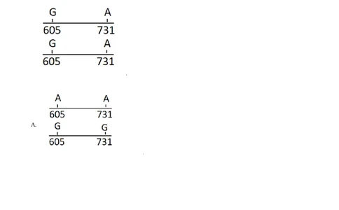 2021年高考生物试卷（天津）（空白卷）_生物历年高考真题_新&middot;Word版2008-2025&middot;高考生物真题_生物（按年份分类）2008-2025_2021&middot;高考生物真题