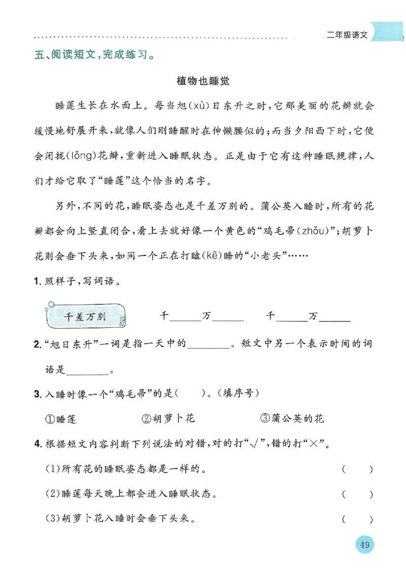 25春黄冈小状元寒假作业人教语文2上_二年级上下册资料_53黄冈多个品牌系列资料_语文