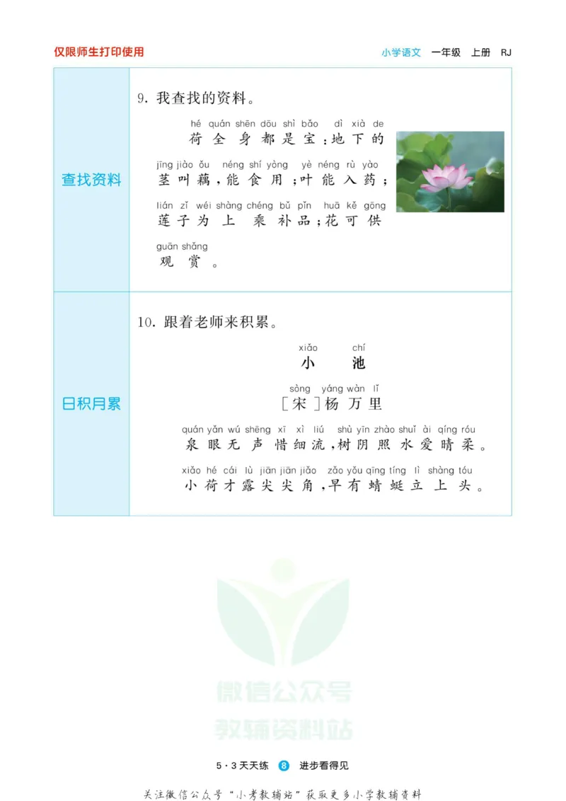 2022秋5&middot;3预习单一年级上册语文部编版_一年级上下册资料_一年级上语数英上下册学习资料_3-6-1、小学一年级语文上册_统编、部编、人教（语文全国统一只有一个版）_2023新增