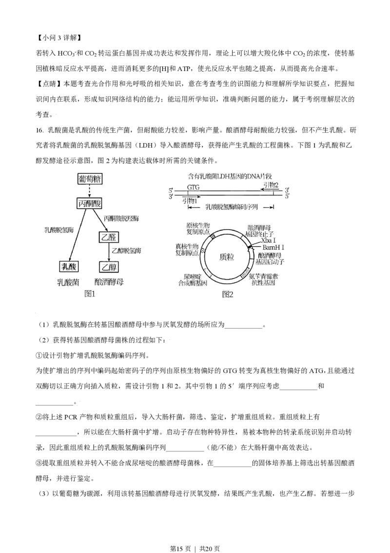 2021年高考生物试卷（天津）（解析卷）_生物历年高考真题_新&middot;PDF版2008-2025&middot;高考生物真题_生物（按省份分类）2008-2025_2008-2024&middot;（天津）生物高考真题