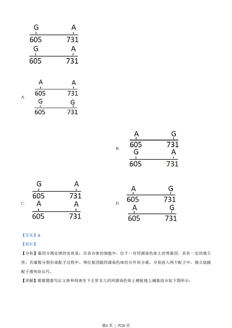 2021年高考生物试卷（天津）（解析卷）_生物历年高考真题_新&middot;PDF版2008-2025&middot;高考生物真题_生物（按省份分类）2008-2025_2008-2024&middot;（天津）生物高考真题