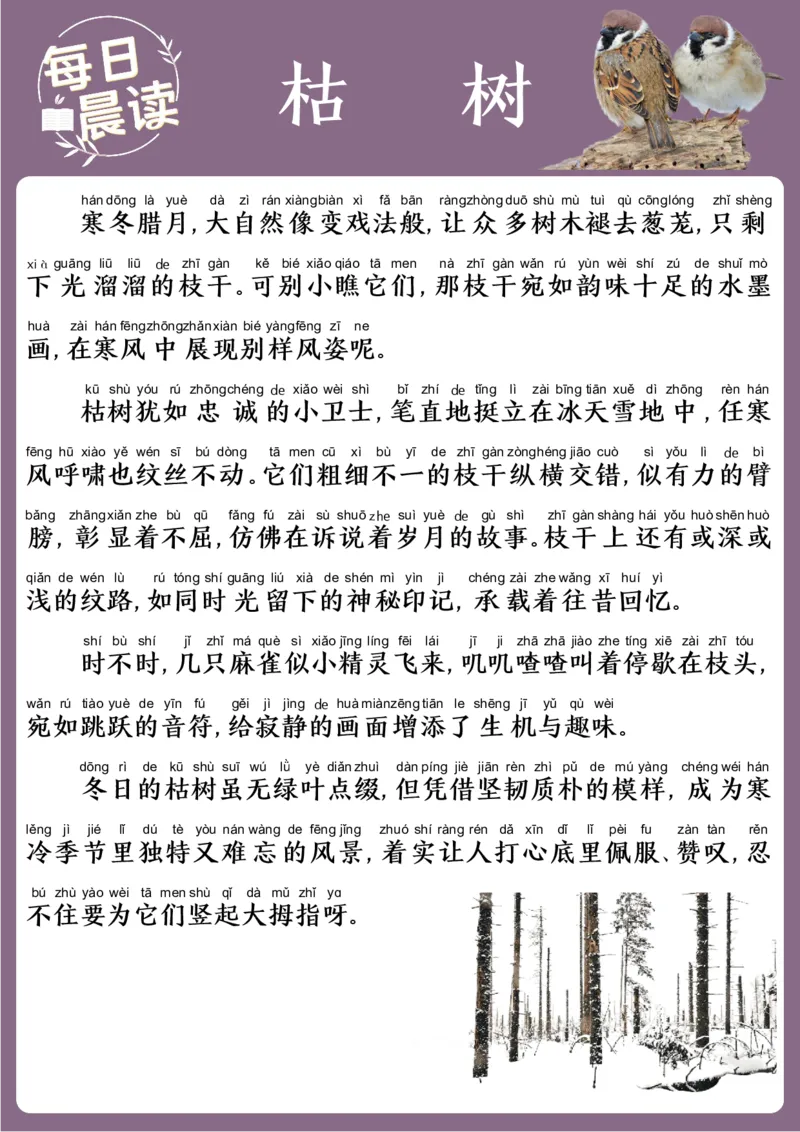 25年1月每日晨读(2)_晨读好句好段练笔