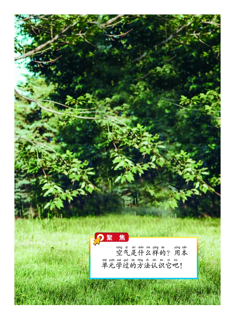 教科版1年级科学下册高清教材_全部版本&bull;小学科学电子课本_教科版小学科学电子课本