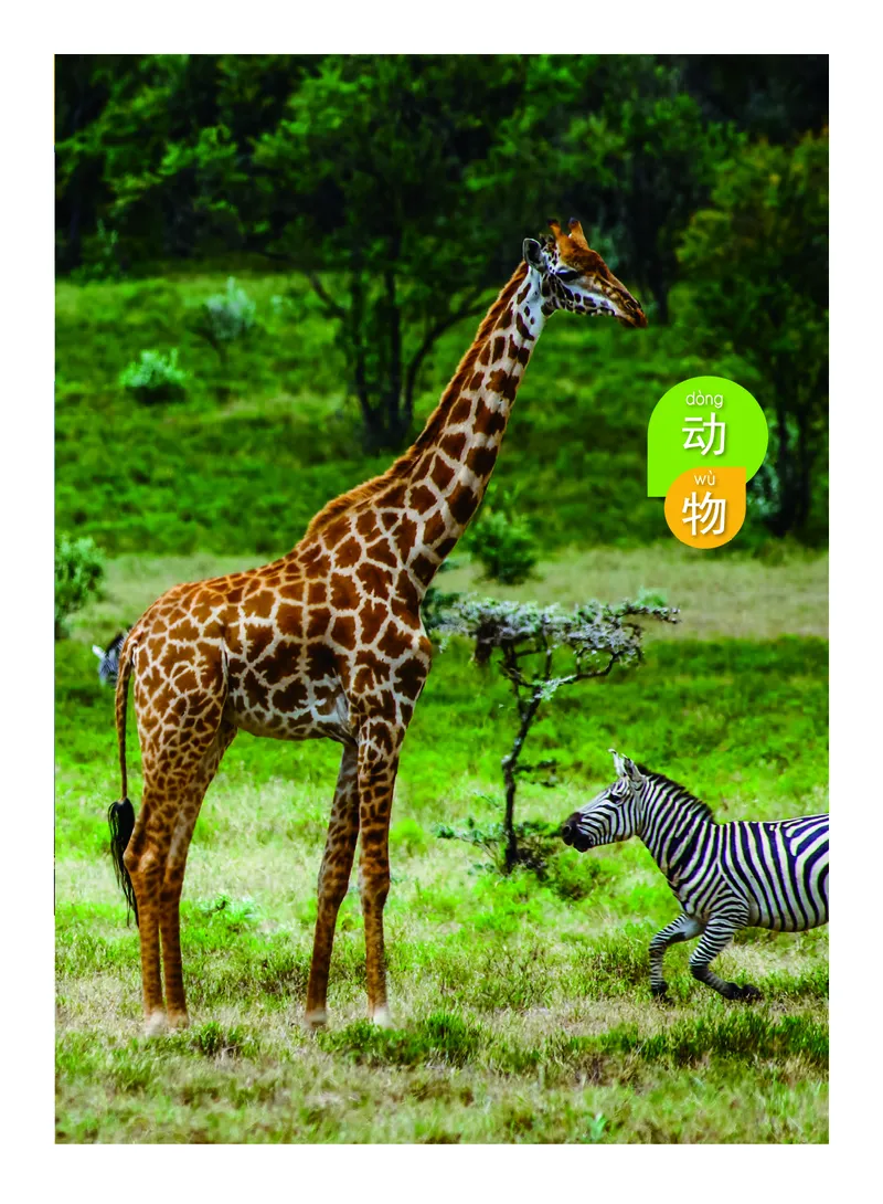 教科版1年级科学下册高清教材_全部版本&bull;小学科学电子课本_教科版小学科学电子课本