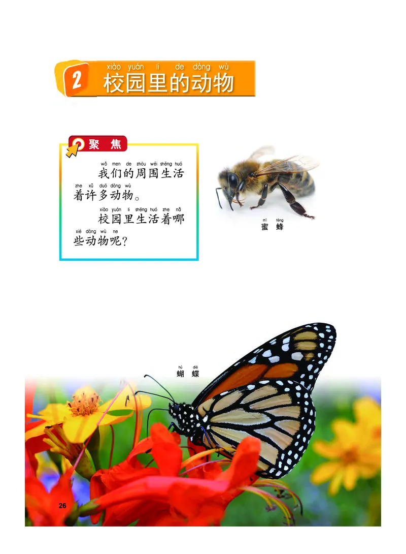 教科版1年级科学下册高清教材_全部版本&bull;小学科学电子课本_教科版小学科学电子课本