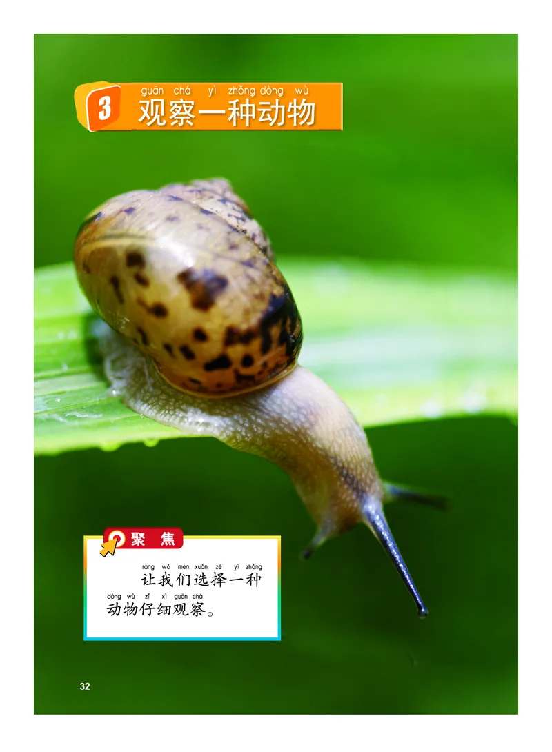 教科版1年级科学下册高清教材_全部版本&bull;小学科学电子课本_教科版小学科学电子课本