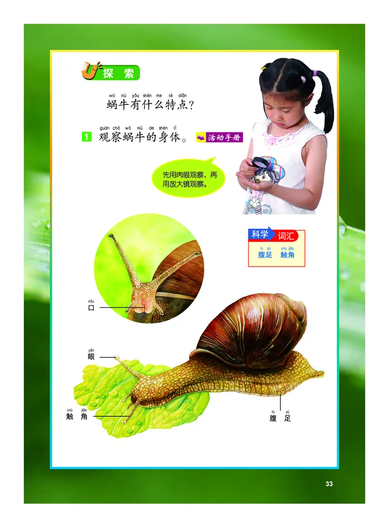 教科版1年级科学下册高清教材_全部版本&bull;小学科学电子课本_教科版小学科学电子课本