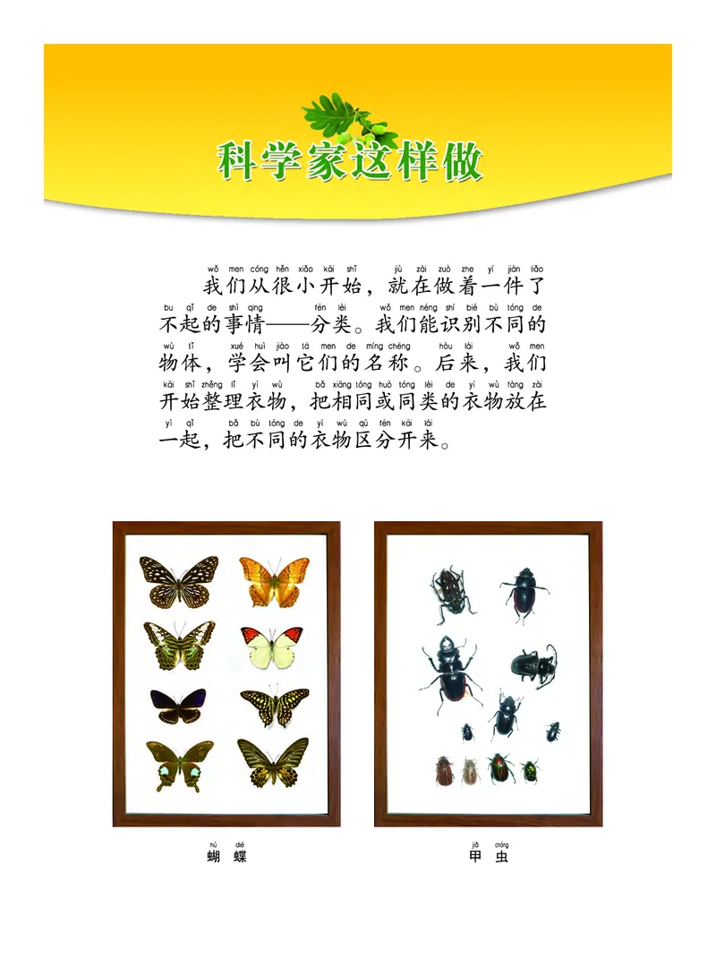 教科版1年级科学下册高清教材_全部版本&bull;小学科学电子课本_教科版小学科学电子课本