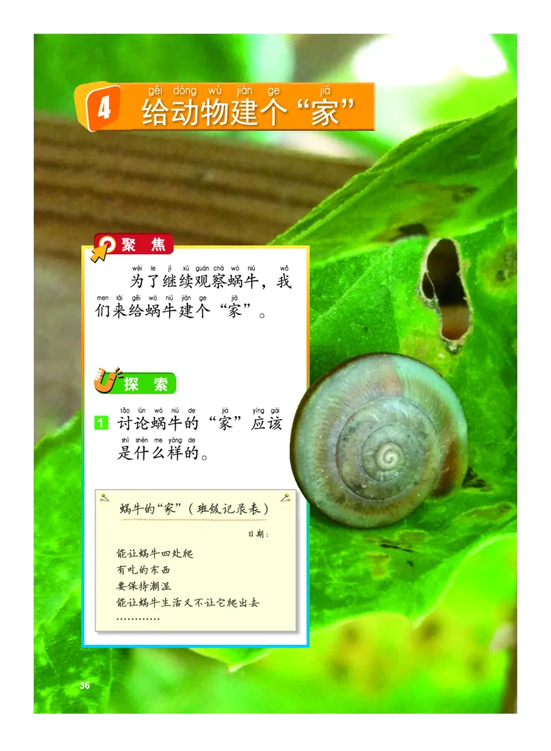 教科版1年级科学下册高清教材_全部版本&bull;小学科学电子课本_教科版小学科学电子课本