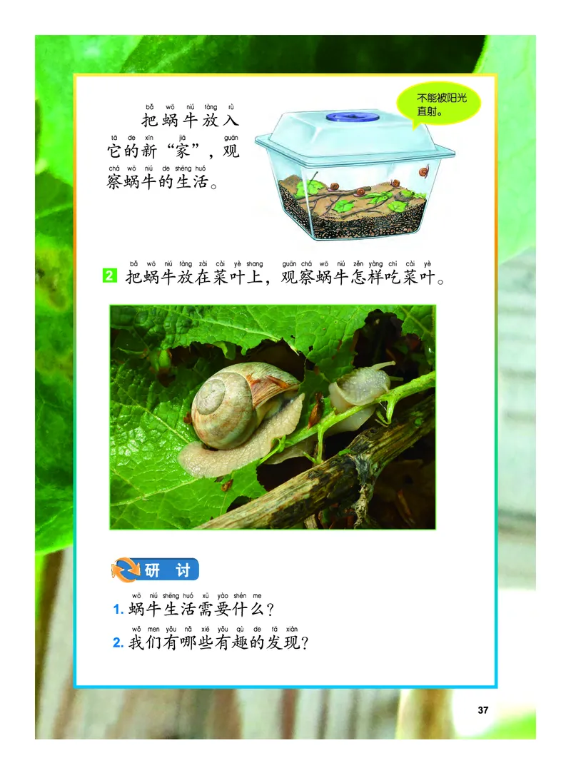 教科版1年级科学下册高清教材_全部版本&bull;小学科学电子课本_教科版小学科学电子课本