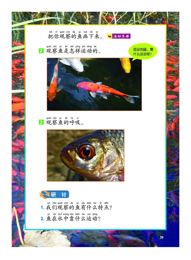 教科版1年级科学下册高清教材_全部版本&bull;小学科学电子课本_教科版小学科学电子课本