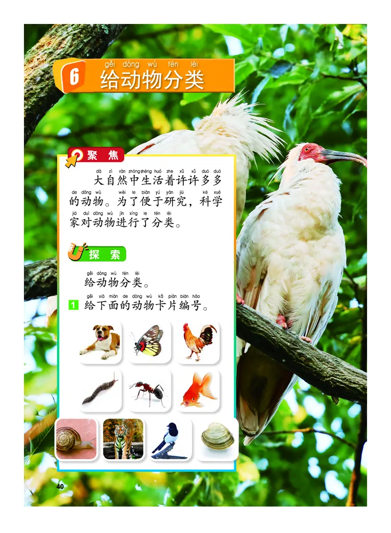 教科版1年级科学下册高清教材_全部版本&bull;小学科学电子课本_教科版小学科学电子课本