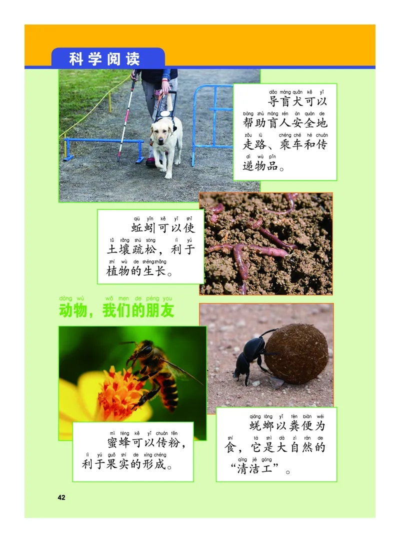 教科版1年级科学下册高清教材_全部版本&bull;小学科学电子课本_教科版小学科学电子课本