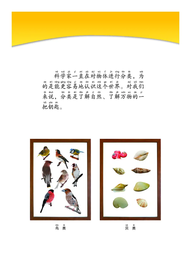 教科版1年级科学下册高清教材_全部版本&bull;小学科学电子课本_教科版小学科学电子课本