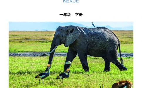 教科版1年级科学下册高清教材_全部版本&bull;小学科学电子课本_教科版小学科学电子课本