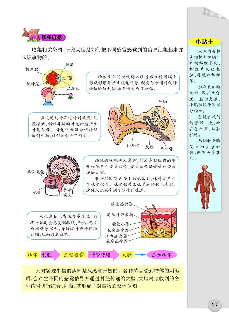 大象版5年级科学上册高清教材_全部版本&bull;小学科学电子课本_大象版小学科学电子课本