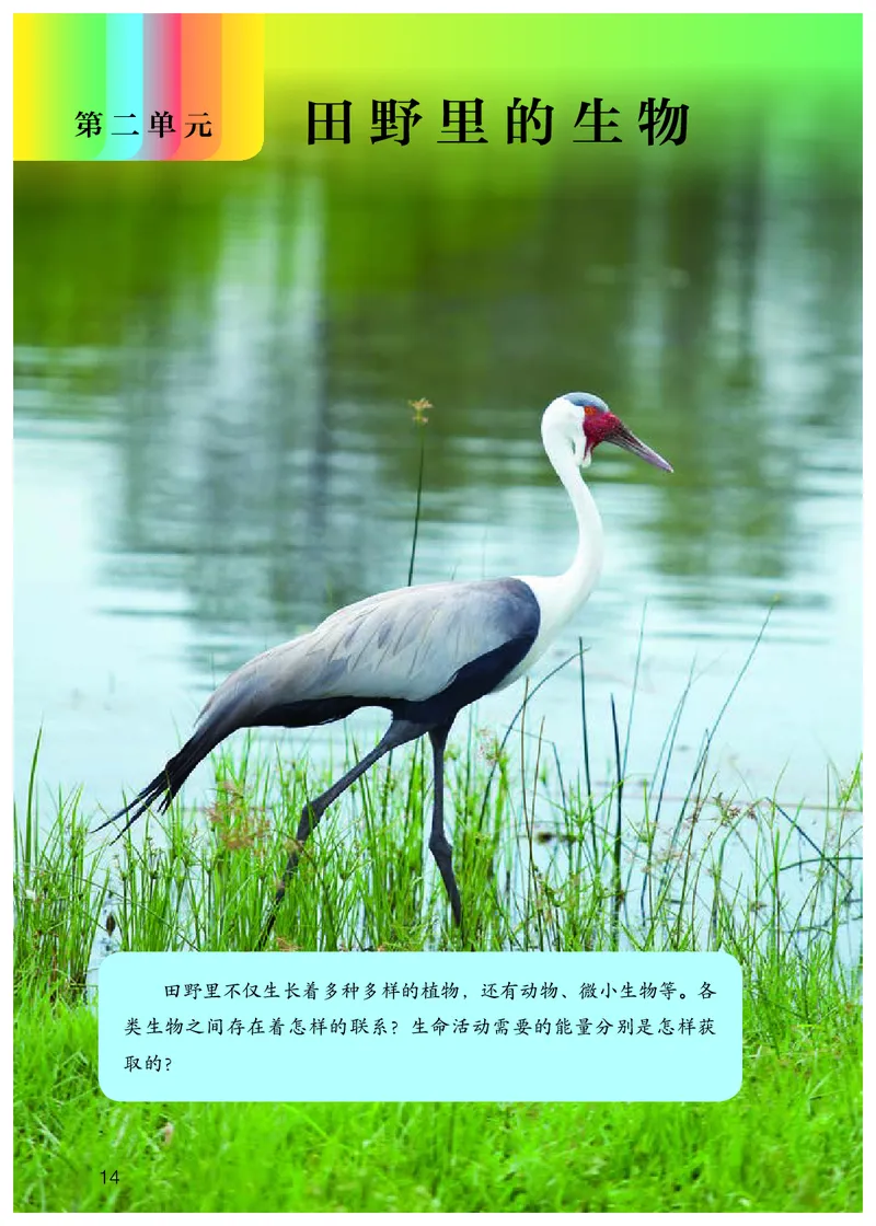 人教版6年级科学上册高清教材_全部版本&bull;小学科学电子课本_人教版小学科学电子课本