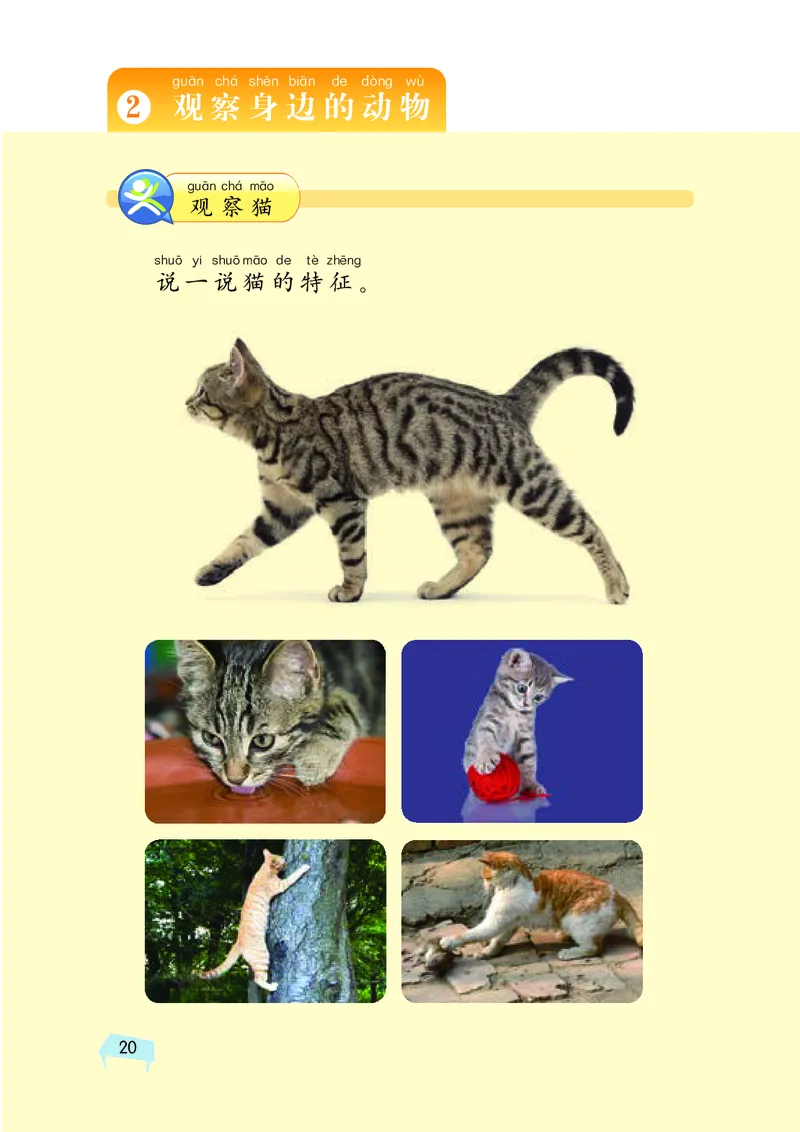湘科版1年级科学下册高清教材_全部版本&bull;小学科学电子课本_湘科版小学科学电子课本