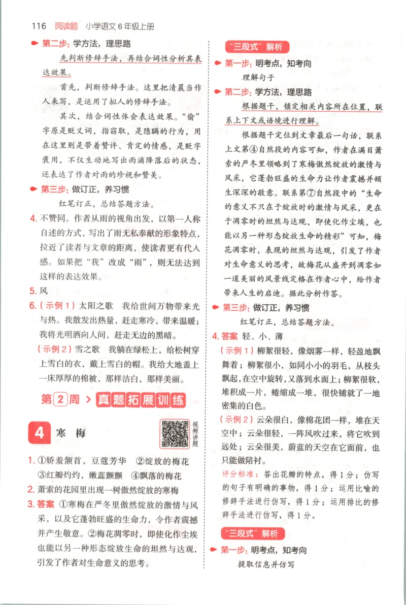 25秋《一本阅读题》6上语文_25秋《一本阅读题》语文