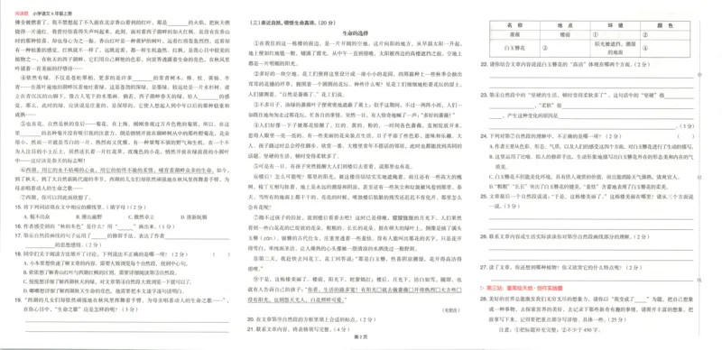 25秋《一本阅读题》6上语文_25秋《一本阅读题》语文