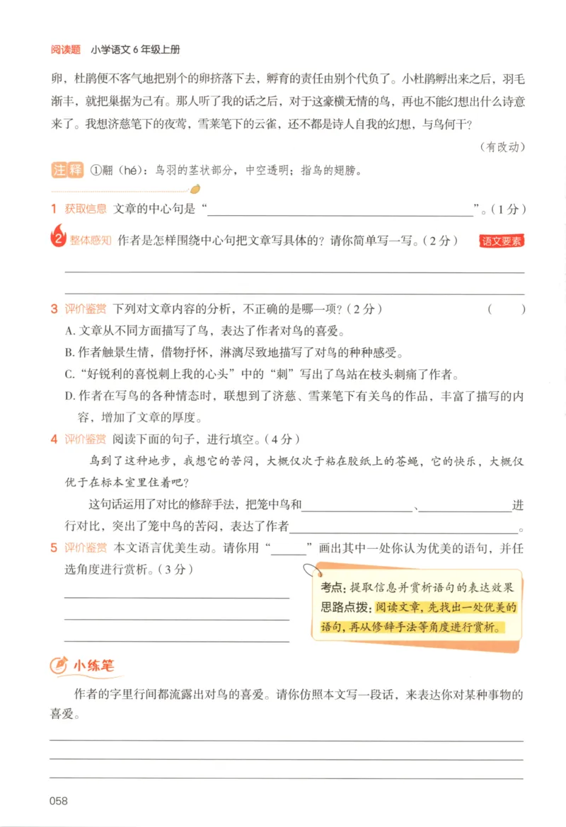 25秋《一本阅读题》6上语文_25秋《一本阅读题》语文