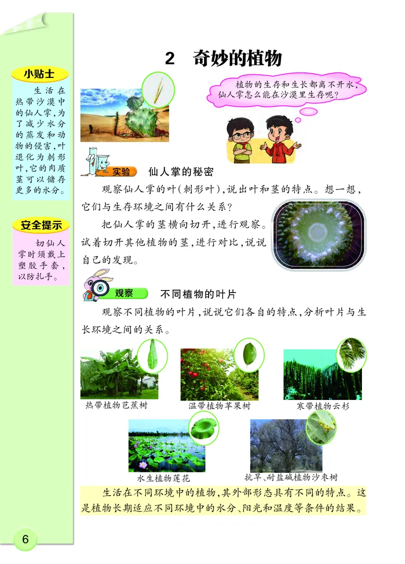 大象版4年级科学下册高清教材_全部版本&bull;小学科学电子课本_大象版小学科学电子课本