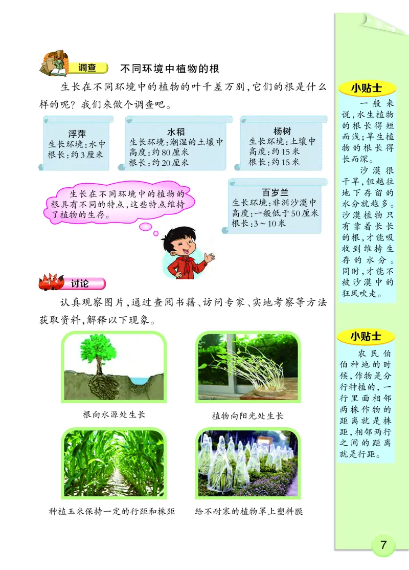 大象版4年级科学下册高清教材_全部版本&bull;小学科学电子课本_大象版小学科学电子课本