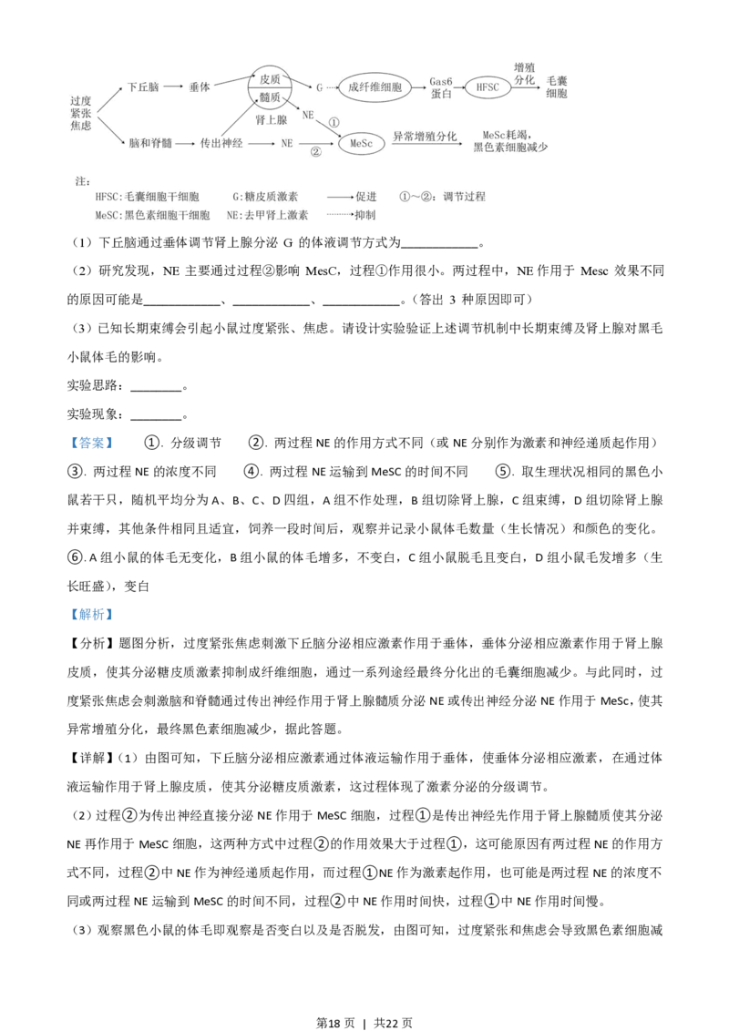 2021年高考生物试卷（山东）（解析卷）_生物历年高考真题_新&middot;PDF版2008-2025&middot;高考生物真题_生物（按年份分类）2008-2025_2021&middot;高考生物真题
