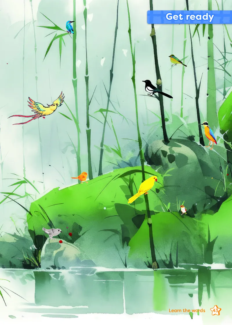 2024外研版三起点三上（主编：孙有中）_三年级上下册资料_三年级上语数英上下册学习资料_3-8-5、小学三年级英语上册_外研版三起点_11、电子课本