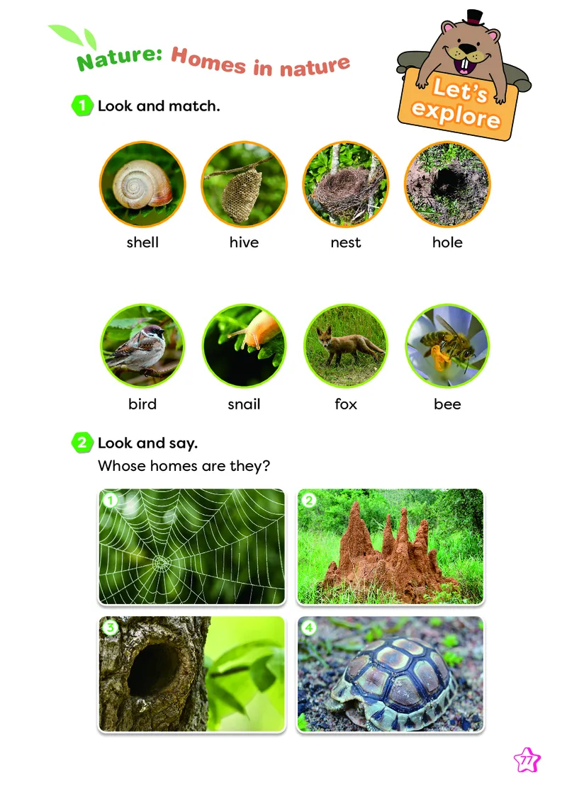 2024外研版三起点三上（主编：孙有中）_三年级上下册资料_三年级上语数英上下册学习资料_3-8-5、小学三年级英语上册_外研版三起点_11、电子课本