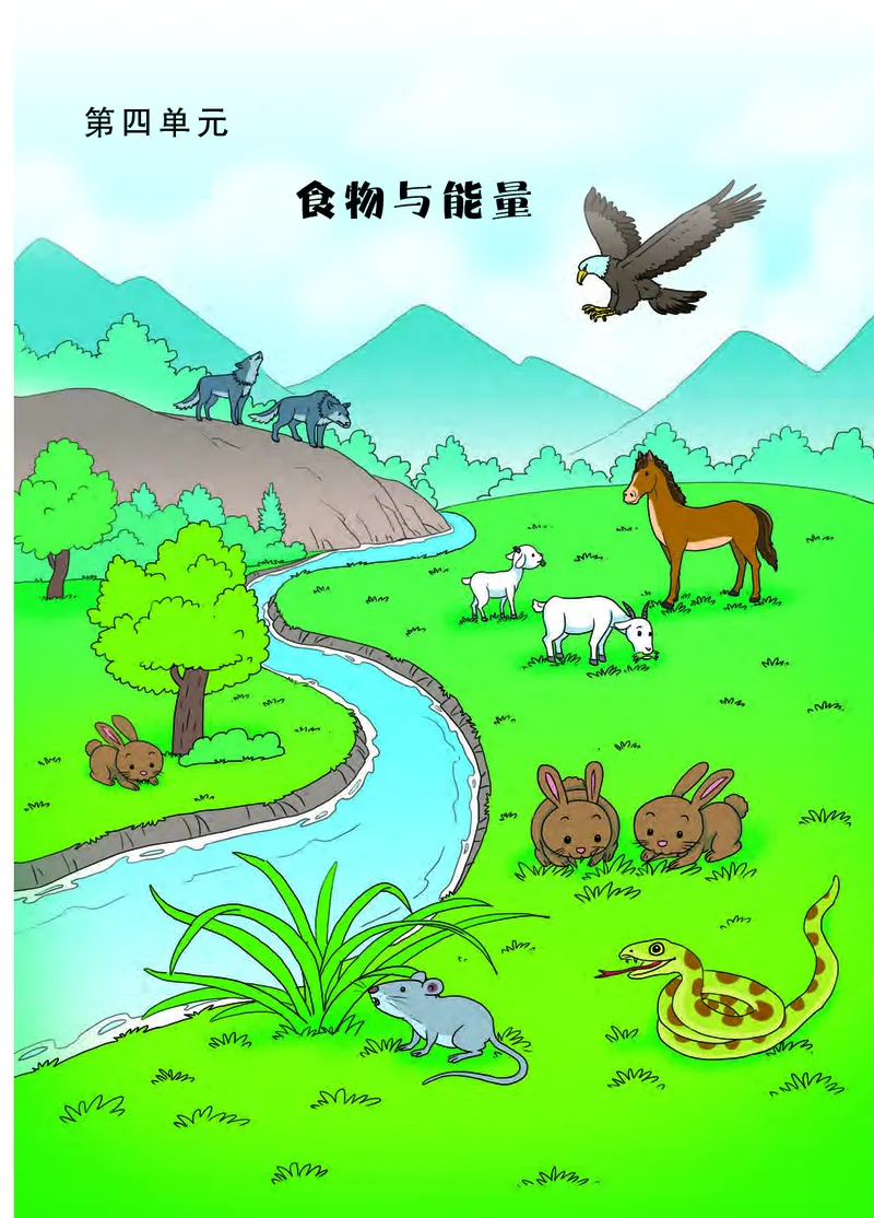 大象版5年级科学下册高清教材_全部版本&bull;小学科学电子课本_大象版小学科学电子课本