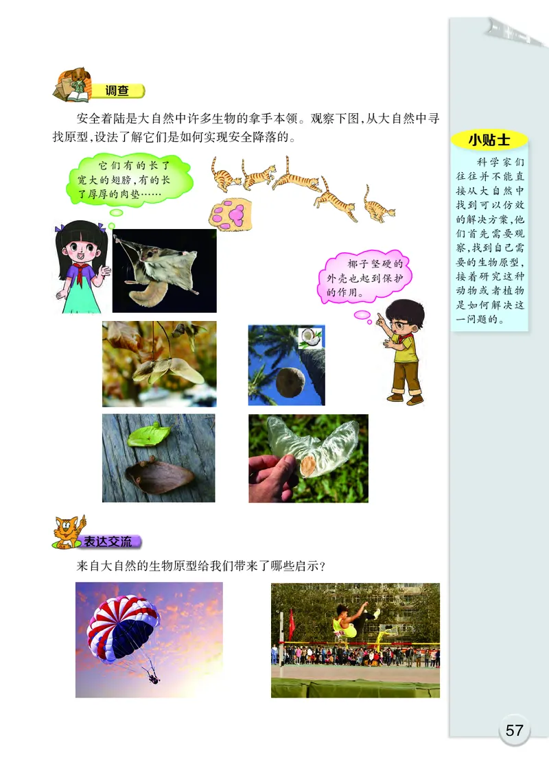 大象版5年级科学下册高清教材_全部版本&bull;小学科学电子课本_大象版小学科学电子课本