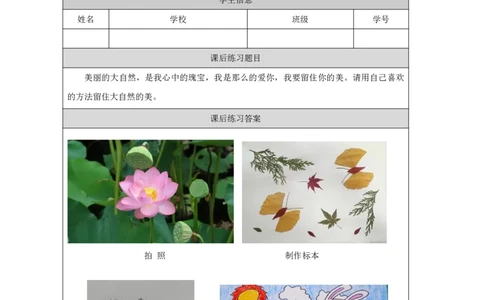 24美丽的大自然_国家课_练习题_3_二年级上下册资料_小学二年级学习资料-25年更新版_2-09、小学二年级科学上册_冀人版