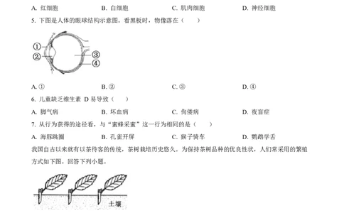 2023年福建省中考生物真题（空白卷）_福建中考1_6.福建中考生物（2017-2025）