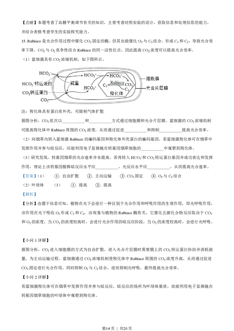 2021年高考生物试卷（天津）（解析卷）_生物历年高考真题_新&middot;PDF版2008-2025&middot;高考生物真题_生物（按年份分类）2008-2025_2021&middot;高考生物真题