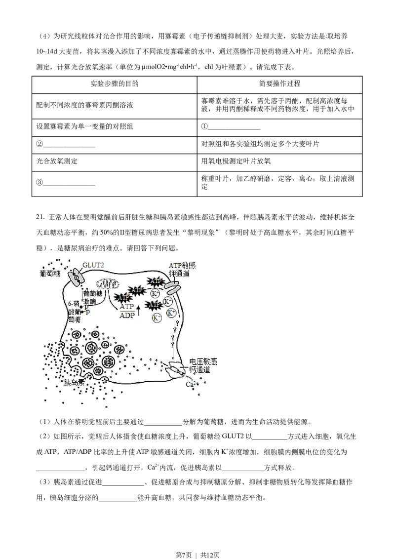 2021年高考生物试卷（江苏）（空白卷）_生物历年高考真题_新&middot;Word版2008-2025&middot;高考生物真题_生物（按试卷类型分类）2008-2025_自主命题卷&middot;生物（2008-2025）_江苏自主命题&middot;生物（2008-2025）