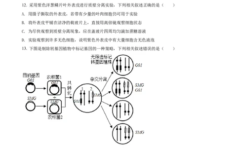 2021年高考生物试卷（江苏）（空白卷）_生物历年高考真题_新&middot;Word版2008-2025&middot;高考生物真题_生物（按试卷类型分类）2008-2025_自主命题卷&middot;生物（2008-2025）_江苏自主命题&middot;生物（2008-2025）