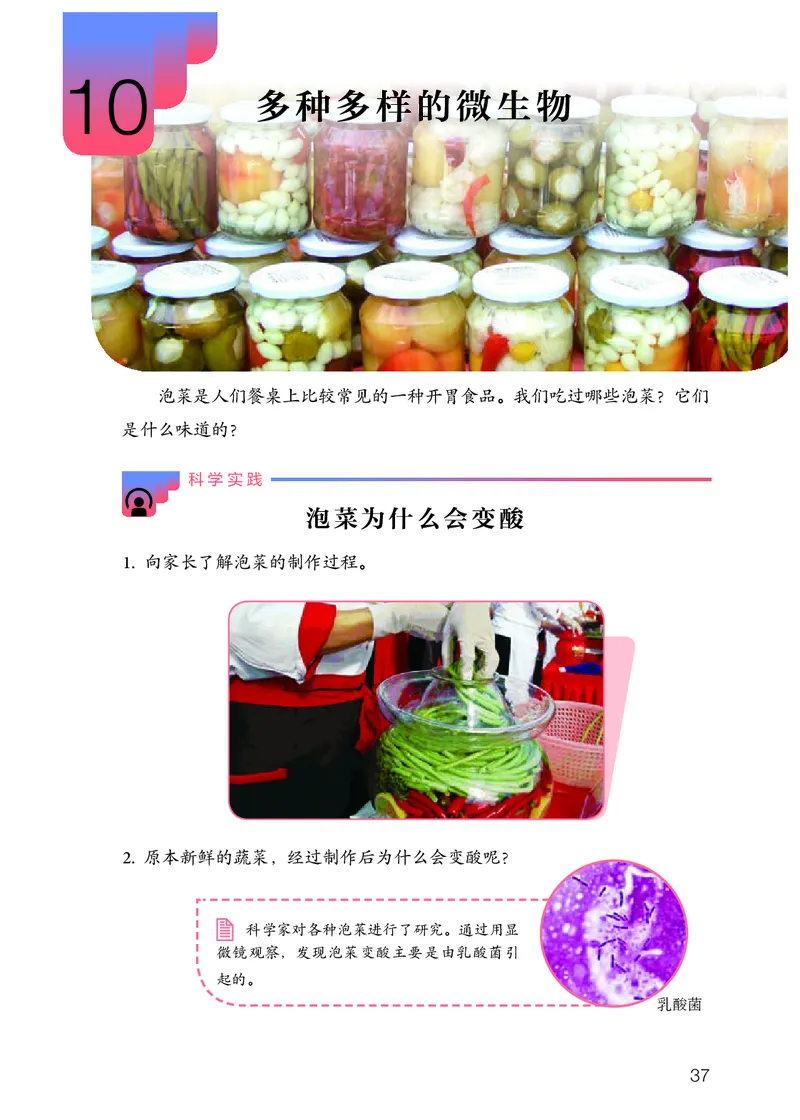 人教版5年级科学上册高清教材_全部版本&bull;小学科学电子课本_人教版小学科学电子课本